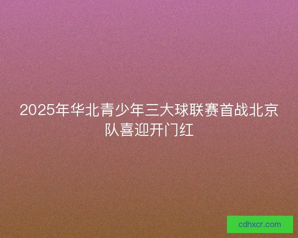 2025年华北青少年三大球联赛首战北京队喜迎开门红