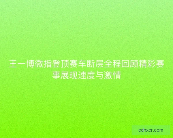 王一博微指登顶赛车断层全程回顾精彩赛事展现速度与激情 王一博微指登顶赛车断层全程回顾精彩赛事展现速度与激情